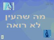 צילומי מיקרוסקופ אלקטרוני