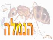 הנמלה 