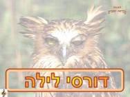 דורסי לילה וקולותיהם <BR/>מצגת שלישית 