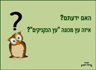 האם ידעתם <BR/>איזה עץ מכונה עץ הנקניקים