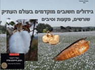 גידולים מוקדמים בעולם העתיק<BR/>רובים,חידקים ופלדה