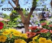 FOTOS  PARA LA FAMILIA – 1