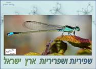 שפיריות ושפריריות ארץ ישראל