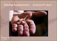   הומו לוזוננסיס <BR/>Homo luzenensis