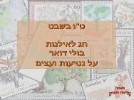 בולי דואר על נטיעות ועצים