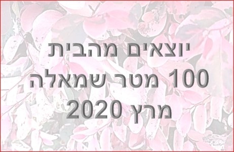 יוצאים מהבית<BR/>100 מטר שמאלה