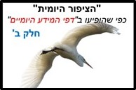 הציפור היומית מצגת שנייה <BR/>דובה פרימרמן