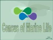 Census of Marine Life