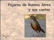 Pajaros de Argentina <BR/> y sus voces