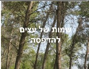 שמות של עצים להדפסה