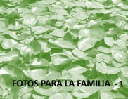 - 3 FOTOS PARA LA FAMILIA
