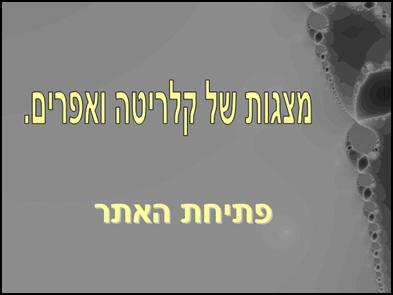 הנחיות גלישה באתר המצגות